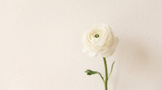Flower Facts in Malaysia: What Every Customer Should Know About Fresh Flowers